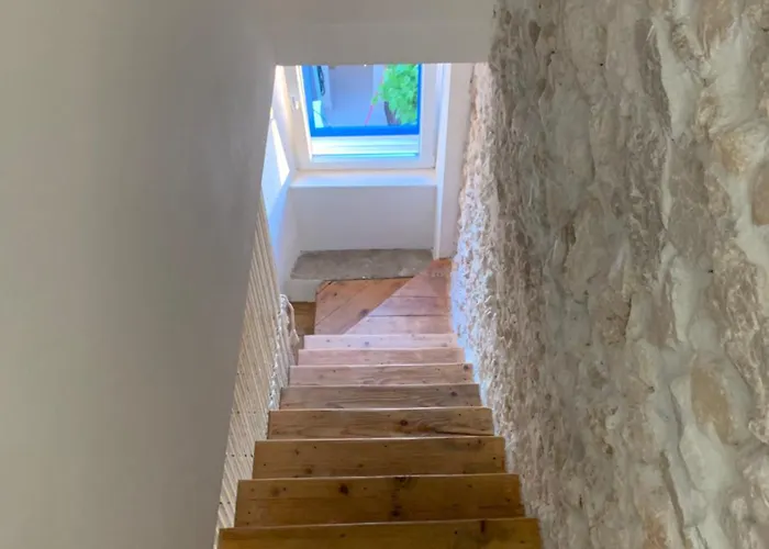 Villa House Franulich
